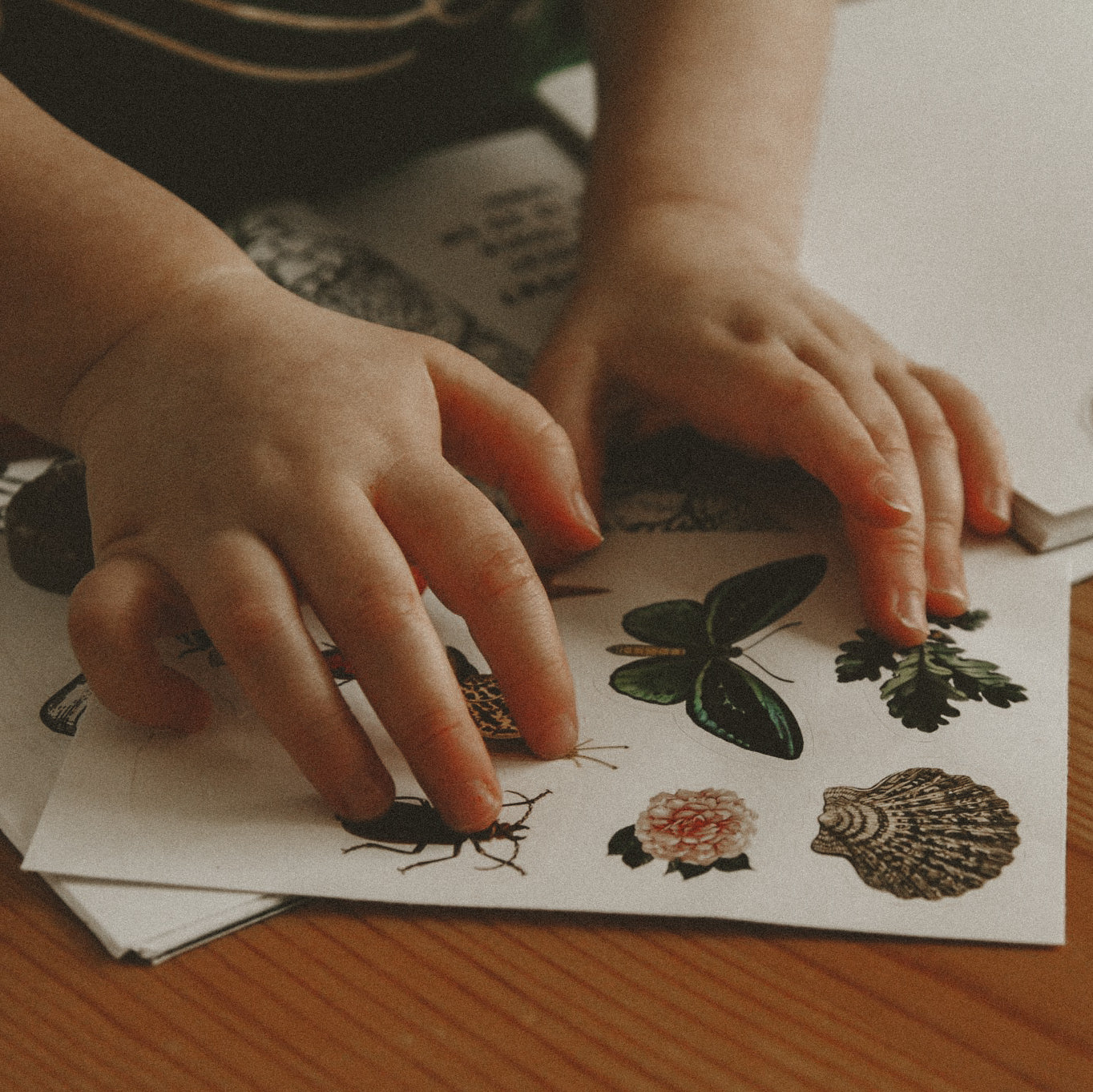 Natural Wonders A6 Sticker Set