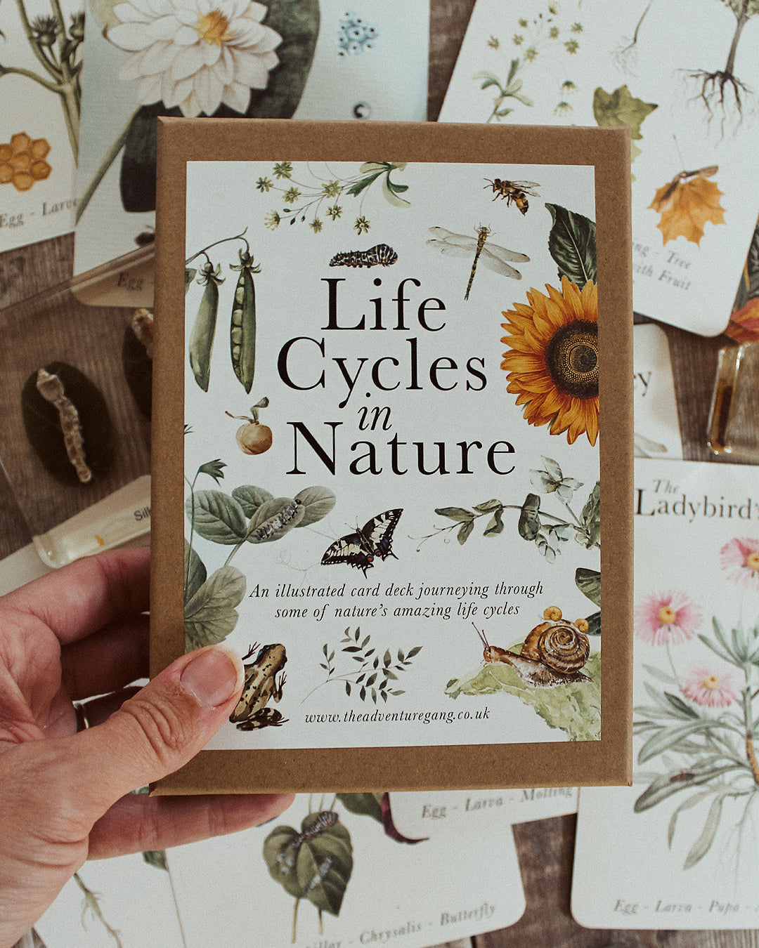 Life Cycles of Nature A6 Card Pack