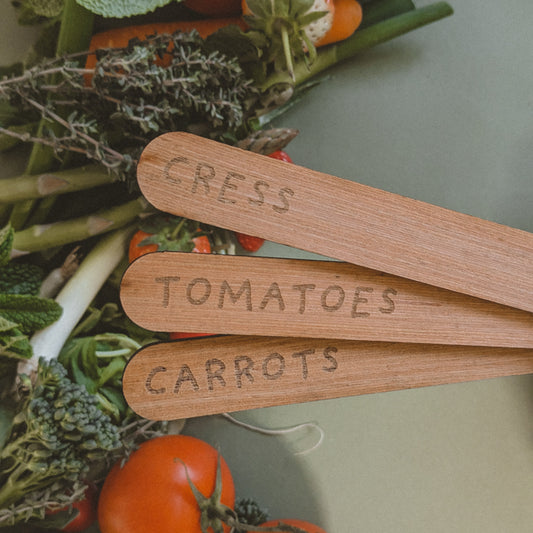 Plant Identifier Wooden Signs
