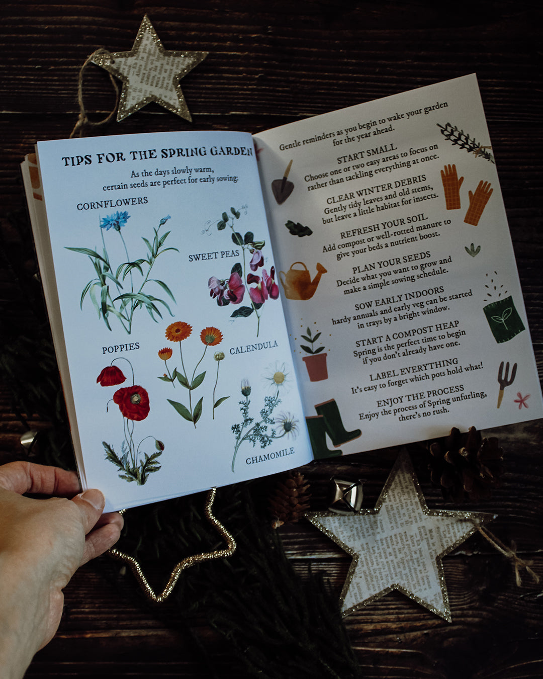 Winter Solstice Wonders Box - with tee