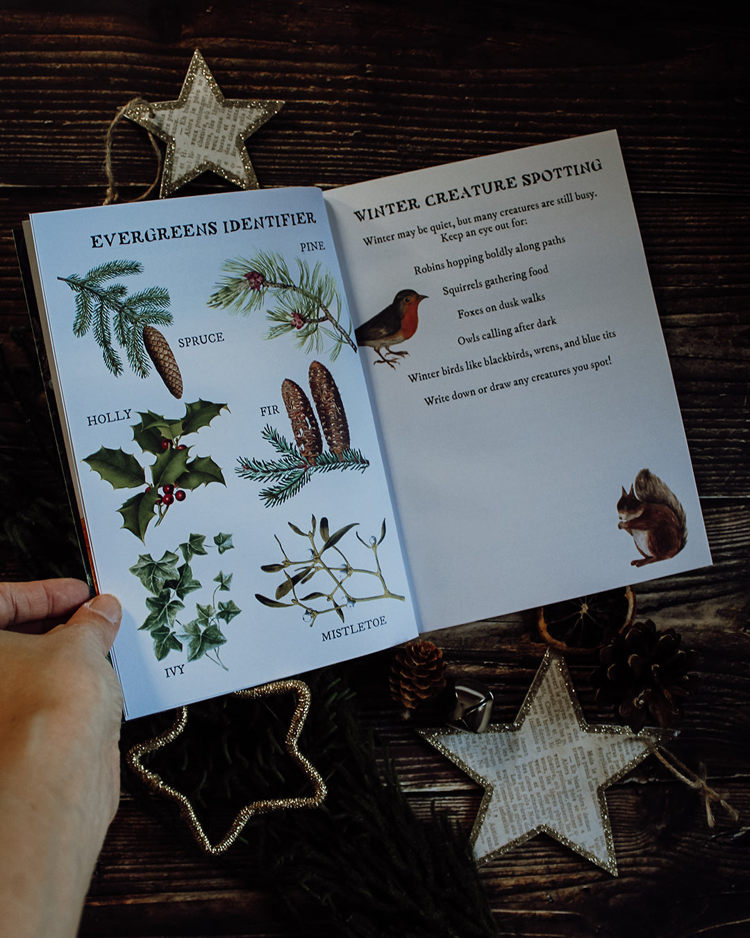 Winter Solstice Wonders Box - with tee